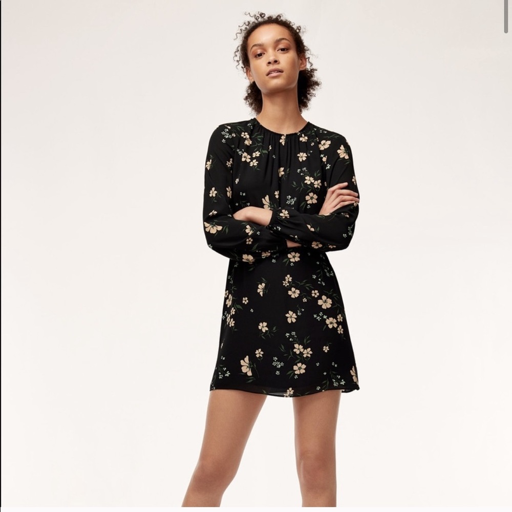 Aritzia Sunday Best Poppins Dress
